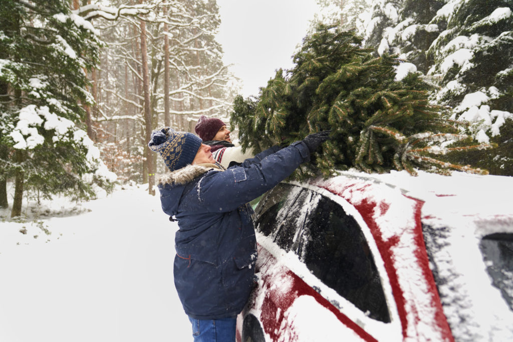 Juletre på biltak